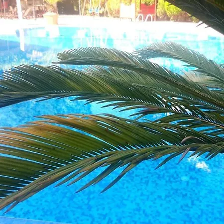 Kalia, Sunny Słoneczny Brzeg