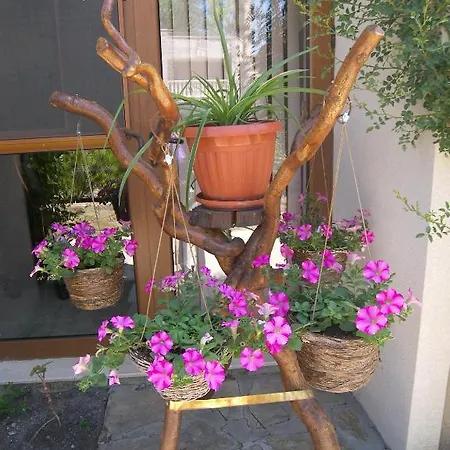 Kalia, Sunny * Słoneczny Brzeg