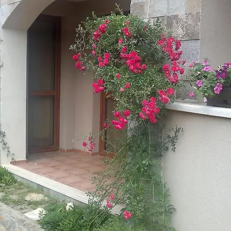 Kalia, Sunny * Słoneczny Brzeg