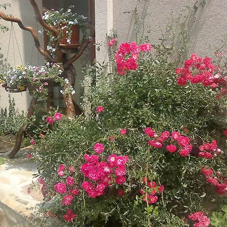 Kalia, Sunny Apartment Sunny Beach