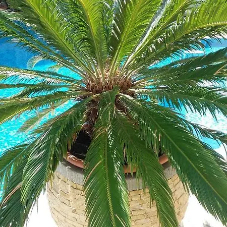 Lejlighed Kalia, Sunny *