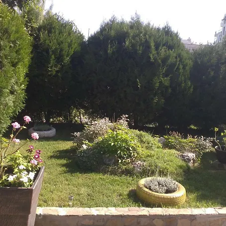 Kalia, Sunny * Słoneczny Brzeg