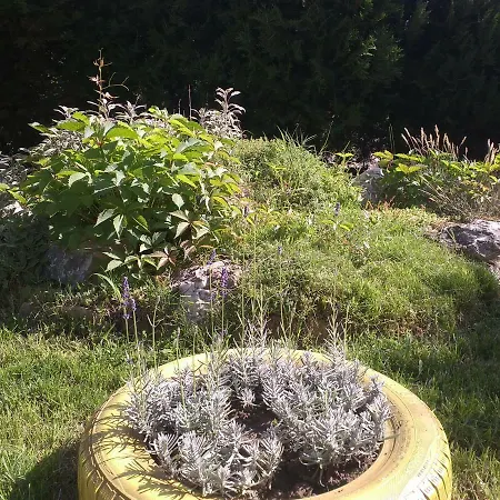 Apartment Kalia, Sunny