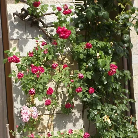 Διαμέρισμα Kalia, Sunny