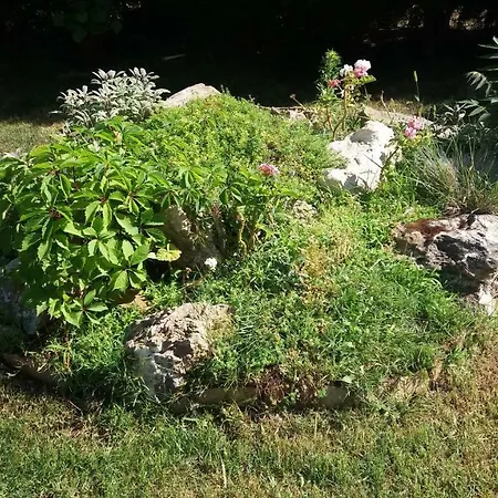 Apartament Kalia, Sunny