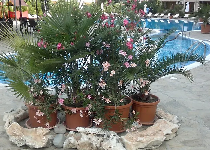 Kalia, Sunny Apartament