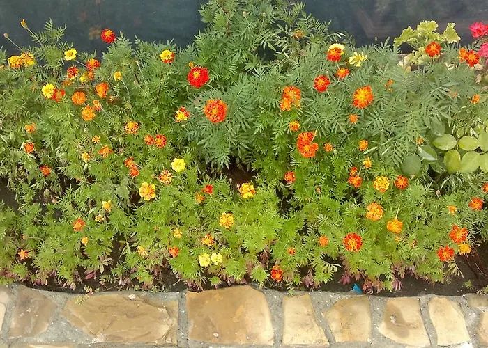 Kalia, Sunny Apartament *