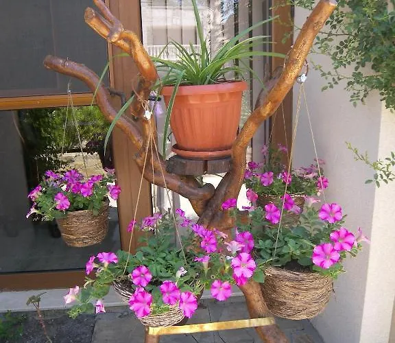 Kalia, Sunny * Sunny Beach