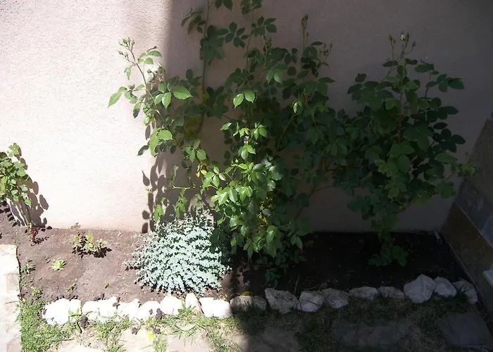 Kalia, Sunny Apartament Sunny Beach