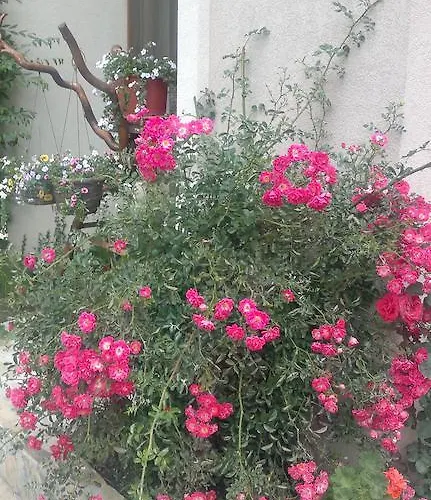 Kalia, Sunny Apartament *