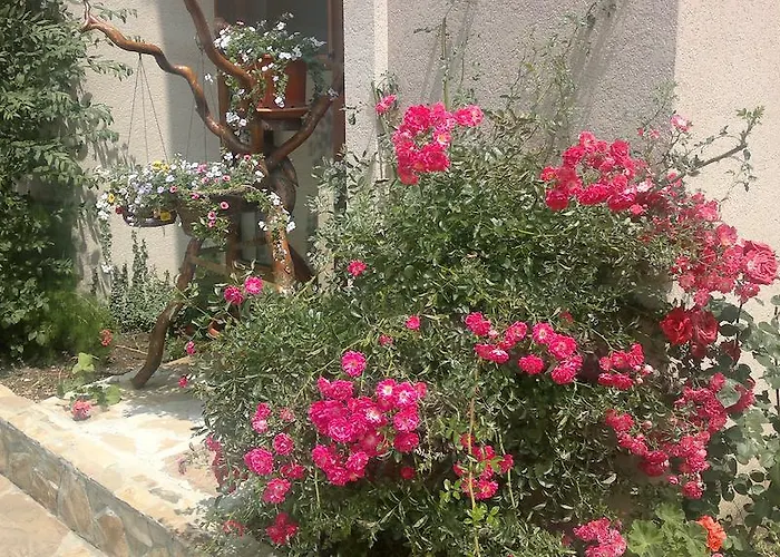 Kalia, Sunny Apartament Sunny Beach