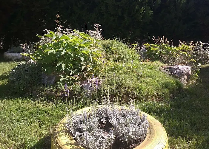 Apartament Kalia, Sunny