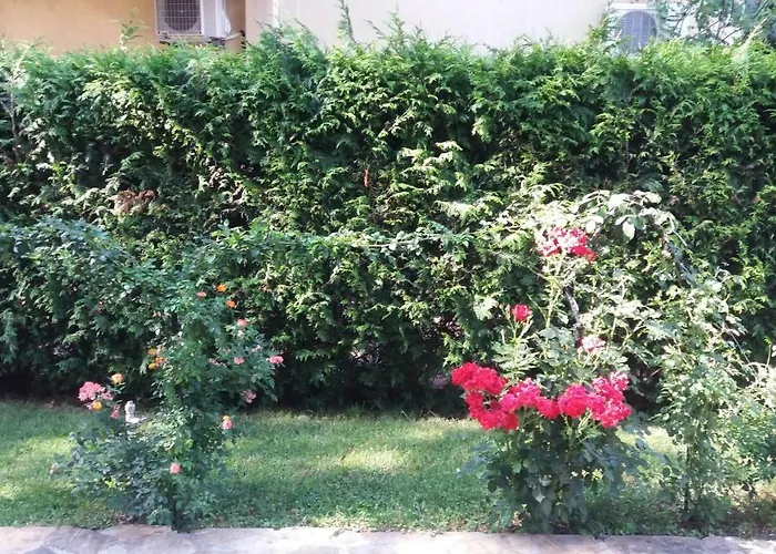 Kalia, Sunny Sunny Beach