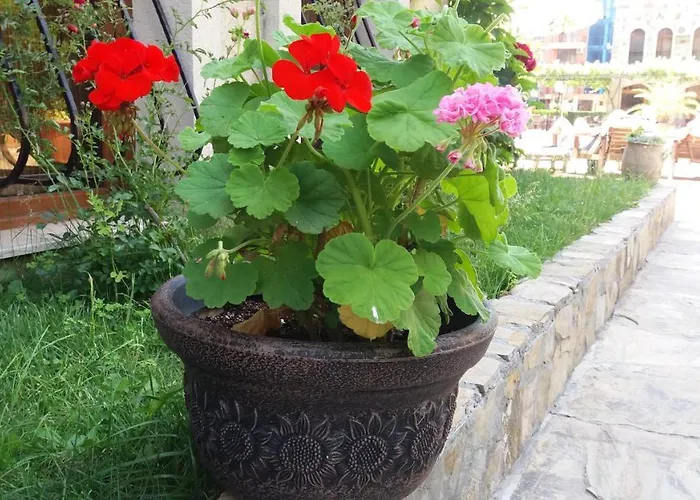 Apartament Kalia, Sunny Sunny Beach