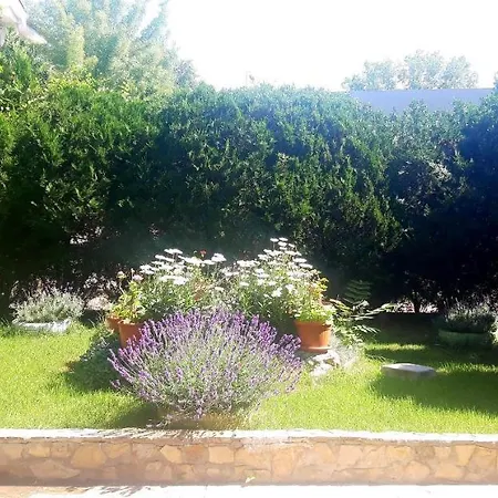 Kalia, Sunny Lägenhet Slăntjev Brjag