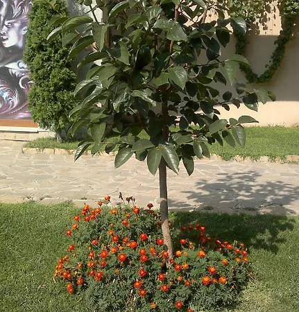 Kalia, Sunny * Slăntjev Brjag